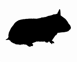 Hamster Silhouette Decal Sticker